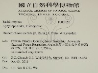 登錄號:F0031056藏品圖，第2張