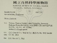 刺皮菌屬藏品圖，第2張