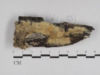 登錄號:F0031058藏品圖，第1張