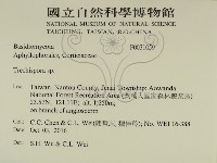 登錄號:F0031059藏品圖，第2張