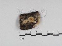 登錄號:F0031059藏品圖，第1張