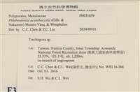 登錄號:F0031059藏品圖，第3張