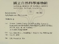 登錄號:F0031060藏品圖，第2張