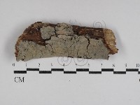 登錄號:F0031060藏品圖，第1張