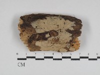 登錄號:F0031061藏品圖，第1張