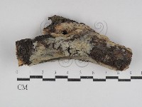 登錄號:F0031066藏品圖，第1張