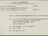 登錄號:F0031067藏品圖，第2張