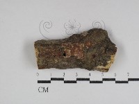 登錄號:F0031068藏品圖，第1張