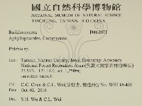 射脈菌屬藏品圖，第2張