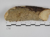 登錄號:F0031072藏品圖，第1張