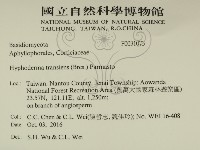 登錄號:F0031073藏品圖，第2張