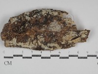 登錄號:F0031073藏品圖，第1張