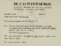 登錄號:F0031076藏品圖，第2張