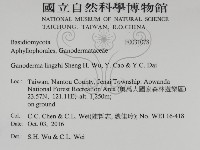 登錄號:F0031078藏品圖，第2張