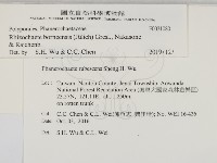 登錄號:F0031080藏品圖，第2張