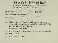 登錄號:F0031081藏品圖，第2張