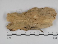 登錄號:F0031082藏品圖，第1張