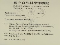 登錄號:F0031084藏品圖，第2張