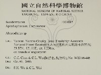 盤革菌屬藏品圖，第2張