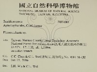 顯絲菌屬藏品圖，第2張