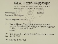 登錄號:F0031089藏品圖，第2張