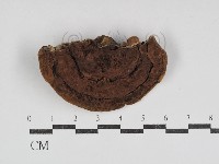 登錄號:F0031092藏品圖，第3張