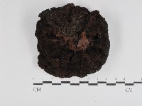 登錄號:F0031093藏品圖，第3張
