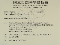 登錄號:F0031094藏品圖，第2張