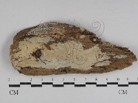 登錄號:F0031094藏品圖，第1張
