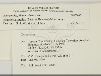 登錄號:F0031096藏品圖，第2張