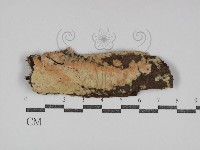 登錄號:F0031096藏品圖，第1張