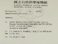 射脈菌屬藏品圖，第2張