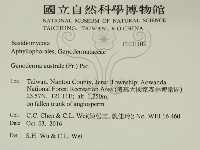 登錄號:F0031102藏品圖，第2張