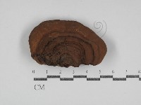 登錄號:F0031102藏品圖，第1張