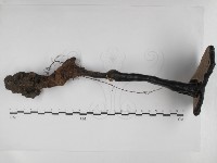 登錄號:F0031103藏品圖，第3張