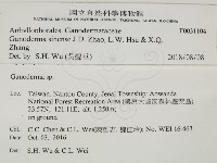 登錄號:F0031104藏品圖，第2張