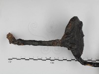 登錄號:F0031104藏品圖，第1張