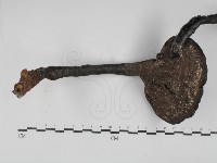 登錄號:F0031104藏品圖，第3張