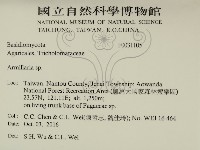 登錄號:F0031105藏品圖，第2張