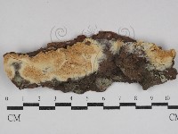 登錄號:F0031106藏品圖，第1張