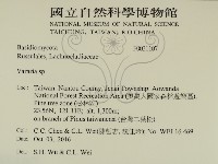 登錄號:F0031107藏品圖，第2張