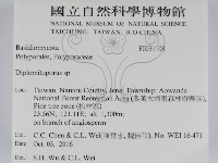 登錄號:F0031108藏品圖，第2張