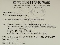 登錄號:F0031109藏品圖，第2張