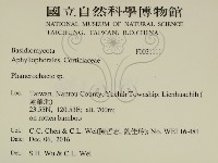 登錄號:F0031111藏品圖，第2張