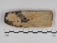 登錄號:F0031111藏品圖，第1張