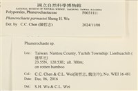 登錄號:F0031111藏品圖，第3張
