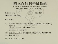 韌革菌屬藏品圖，第2張