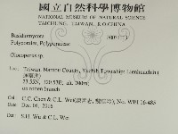 登錄號:F0031113藏品圖，第2張