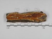 登錄號:F0031113藏品圖，第1張