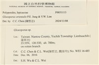 登錄號:F0031113藏品圖，第3張